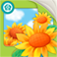Kids ’Golden Garden –Planting Game（About flower）-Golden Education